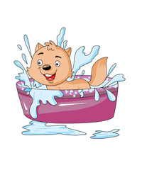 cat bathing in the tub