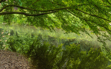 Fototapete bei efototapeten.de bestellen   