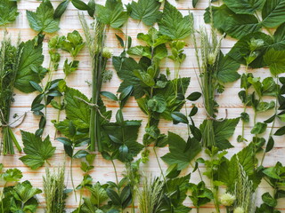 Green fresh herbs mix on white wooden background ,top view.