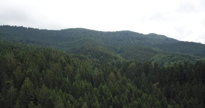 Luftbilder aus dem Schwarzwald Oberharmersbach