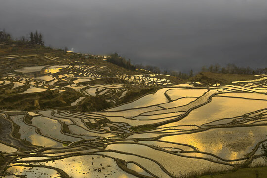 Honghe Hani Rice Terraces,China