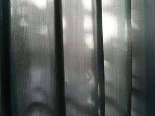 Transparent curtain, blinds, light blue curtain.  Soft light shines through the curtain in the morning.