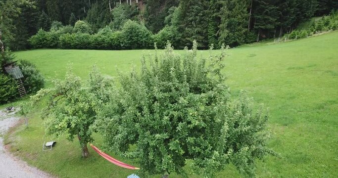 Luftbilder aus dem Schwarzwald Oberharmersbach