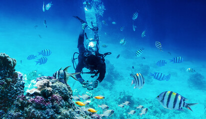 diver swimming underwater near coral reefs and fish and takes a picture with camera
