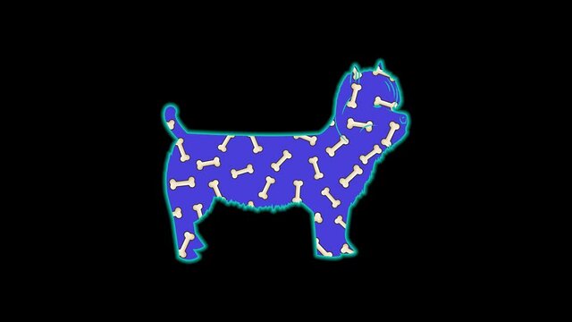 West Highland Terrier icon color animation on black background