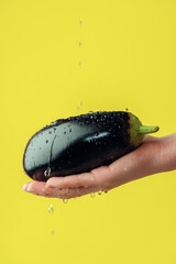 Female hands washing eggplant on the yellow saturated background. Concept of the importance of...