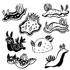 うみうしぞろぞろ