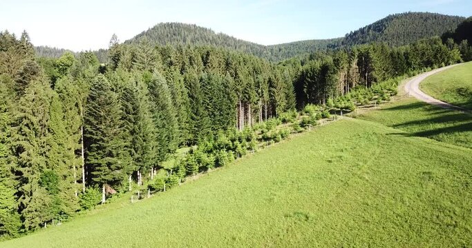 Luftbilder aus dem Schwarzwald Oberharmersbach