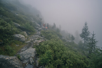 Fototapeta na wymiar Tourists hiking in foggy Alps