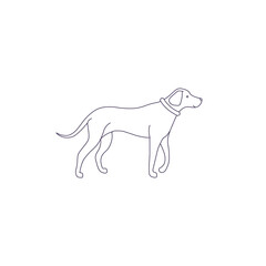 Funny line style icon of rhodesian ridgeback dog for different design.
