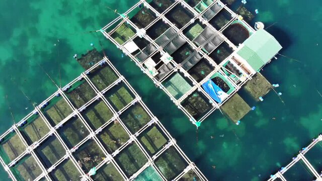 Aerial view of Binh Hung island with tourists, fishing boats, fishing villages and floating rafts raising seafood in Ninh Thuan province, Vietnam