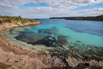 dried seaweed, Posidonia oceanica, forming banks on sand at beach in Menorca, a Spanish Mediterranean island