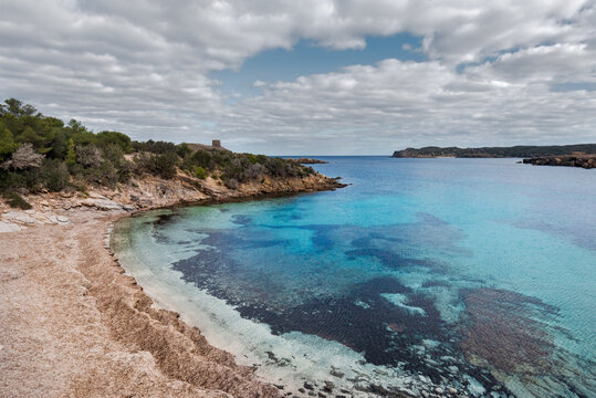 dried seaweed, Posidonia oceanica, forming banks on sand at beach in Menorca, a Spanish Mediterranean island