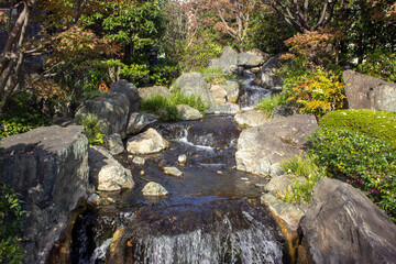 Japanese garden