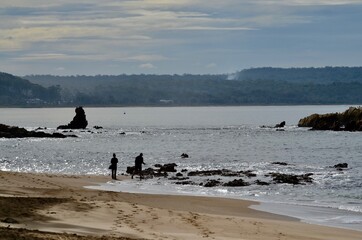 people on the beach