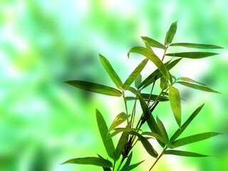 Green leaf background. Beautiful and fresh background. Green plant on blur background.