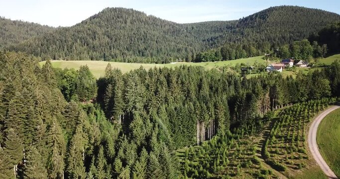 Luftbilder aus dem Schwarzwald Oberharmersbach