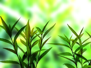 Green leaf background. Beautiful and fresh background. Green plant on blur background.
