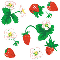Seamless pattern of berries, leaves and strawberry flowers. vector illustration. Strawberry vector pattern background. Set flower, petal, strawberry. EPS 10.