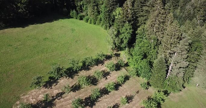 Luftbilder aus dem Schwarzwald Oberharmersbach