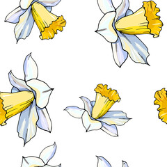 Seamless white daffodil heads pattern. Hand drawn narcissus endless background. Spring easter backdrop. For greeting cards, invitations, decorations, floral prints, floristic design, wallpaper. - 357412637