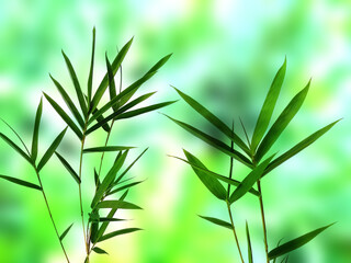 Green leaf background. Beautiful and fresh background. Green plant on blur background.