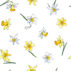 White and yellow daffodil floral seamless pattern. Hand drawn narcissus background. Spring easter backdrop. For greeting cards, invitations, decorations, floral prints, floristic design, wallpaper. - 357412854