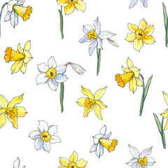 Seamless pattern from yellow and white daffodil floral. Hand drawn narcissus background. Spring easter backdrop. For greeting cards, invitations, decorations, floral prints, floristic design. - 357412855