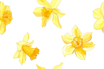 Seamless yellow daffodil  hand drawn floral pattern. Narcissus endless background. Spring easter backdrop. For greeting cards, invitations, decorations, floral prints, floristic design, wallpaper.