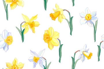Seamless yellow and white daffodil floral pattern. Hand drawn narcissus background. Spring easter backdrop. For greeting cards, invitations, decorations, floral prints, floristic design, wallpaper.