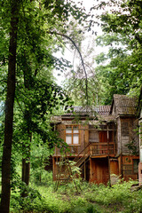 Spooky haunted house among the high trees. Abandoned house in the summer forest. Fairytale atmosphere