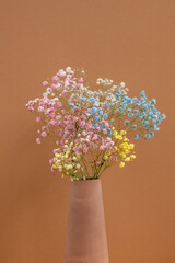 Bouquet of multi-color dried flowers in handmade clay vase in isolation