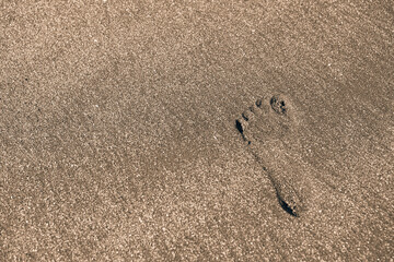 man's leg on yellow sea sand close-up on a sunny day