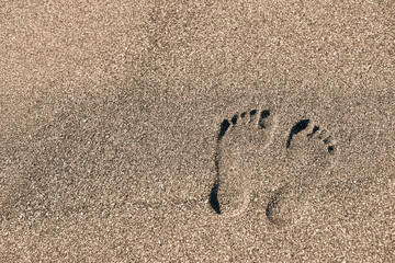 Fototapeta na wymiar man's leg on yellow sea sand close-up on a sunny day