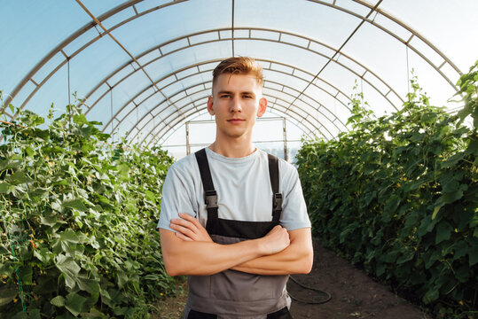 Portrait Of A Young Male Farmer In Overalls In A Greenhouse