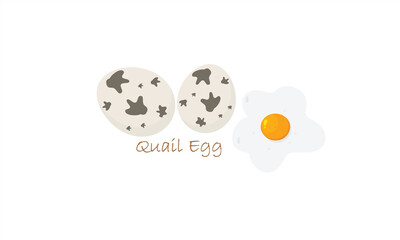 quail egg illustration  with text on white background.