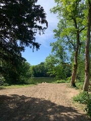 path towards pond