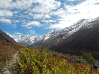 Valley of flowers in autumn.