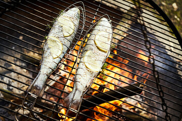 delicious trout with spices roast on a grill over a fire