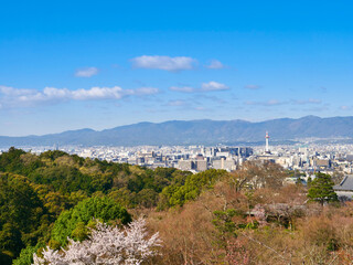 Fototapeta na wymiar 京都タワーと京都市内の町並み