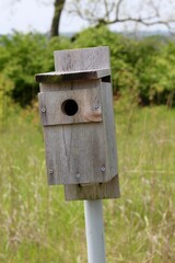 A close view of the old wood box birdhouse in the park.