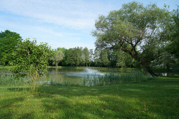 lake in the park