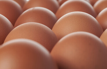 Eggs are very high in nutrients.