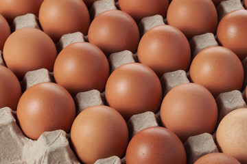 Eggs are very high in nutrients.