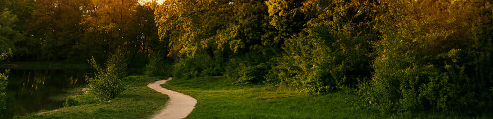Fototapeta na wymiar Park with a path and rows of old trees. Park Alley in the sunset. Banner