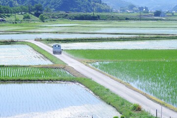 田舎の風景 田んぼ