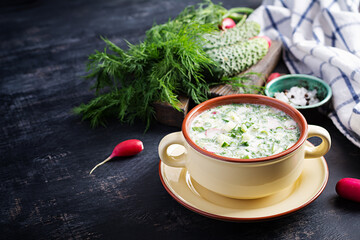 Okroshka. Cold summer soup with yogurt and vegetables in bowl.