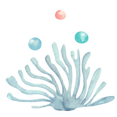 Hand-painted composition of blue sea corals on a white background Watercolor illustration of the underwater world