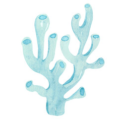 Hand-painted composition of blue sea corals on a white background Watercolor illustration of the underwater world