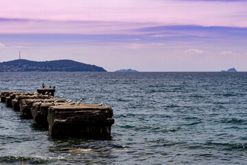 seagulls on cliff or wharf, purple sky with clouds, sea and islands. landscape and tourism theme wallpaper